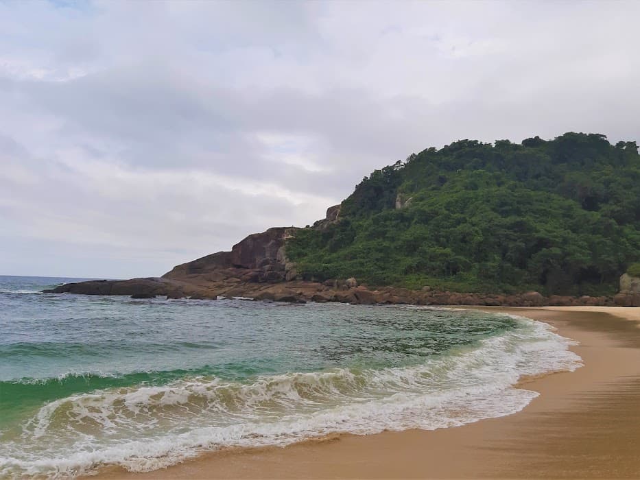 Ilhote - Reserva Biológica Estadual da Praia do Sul