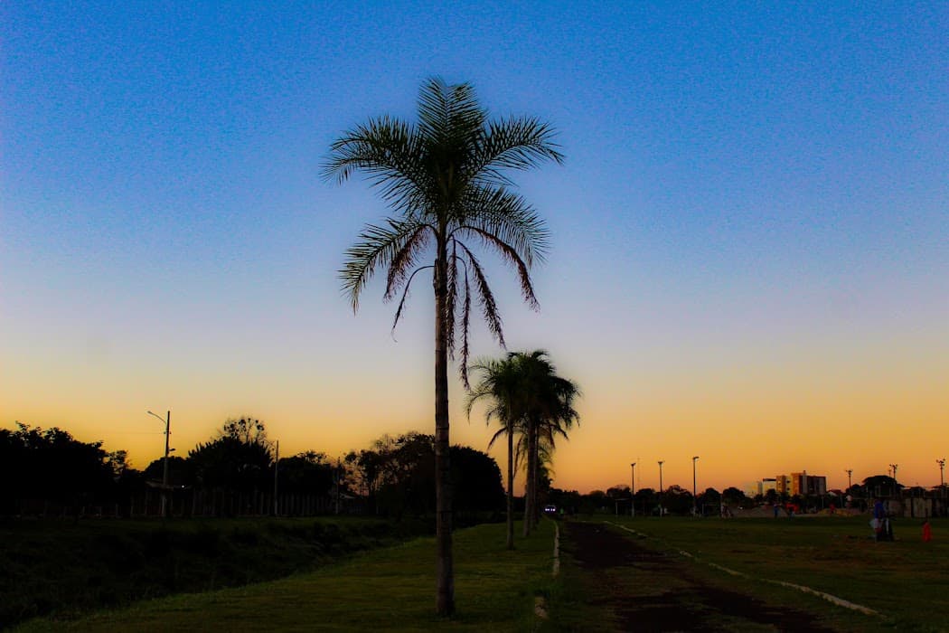Parque Rêgo D'Água