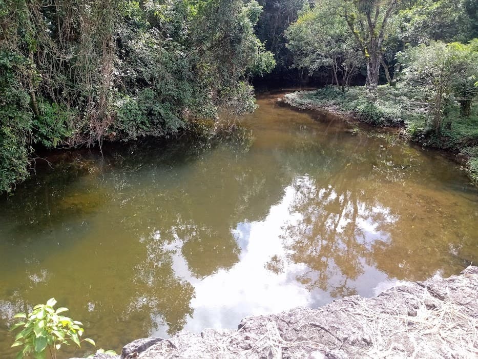 RPPN PARQUE TAQUARAL