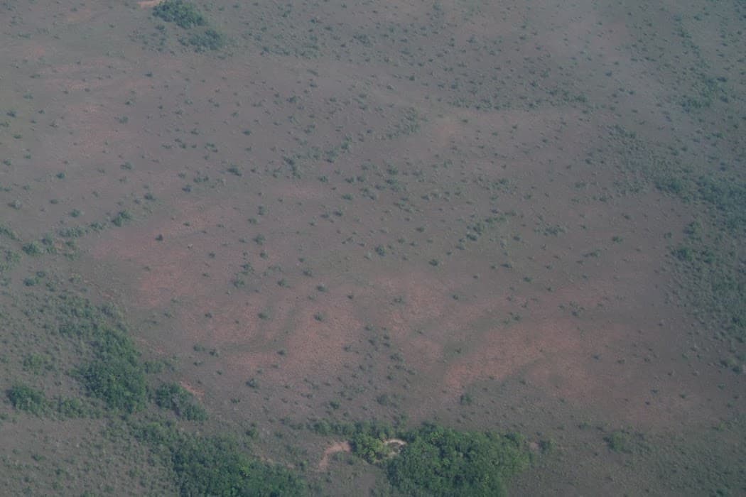 Parque Nacional do Viruá