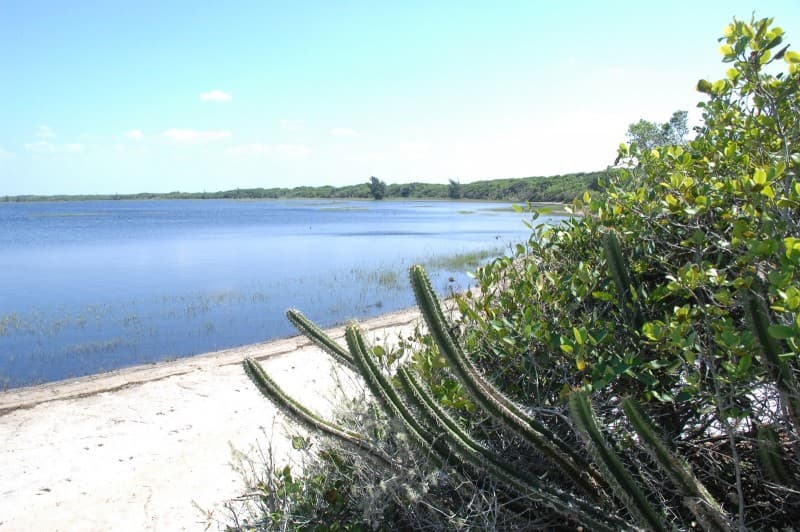 Parque Nacional Restinga de Jurubatiba