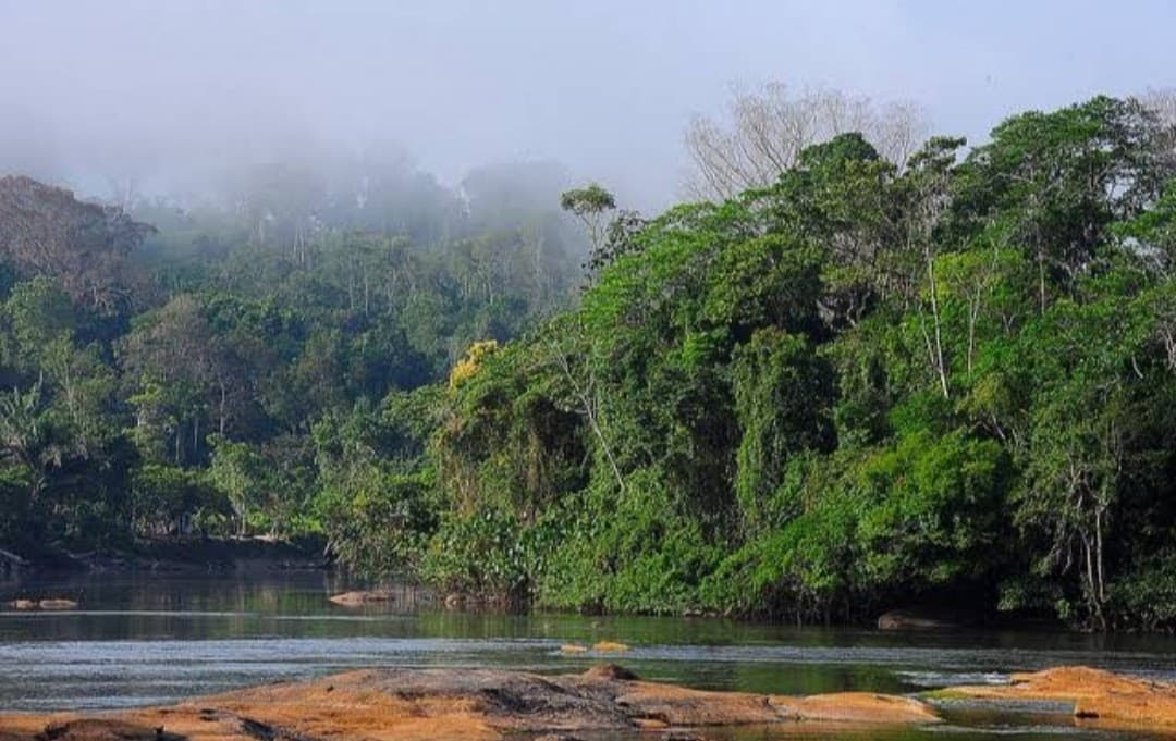 Parque Nacional Montanhas do Tumucumaque