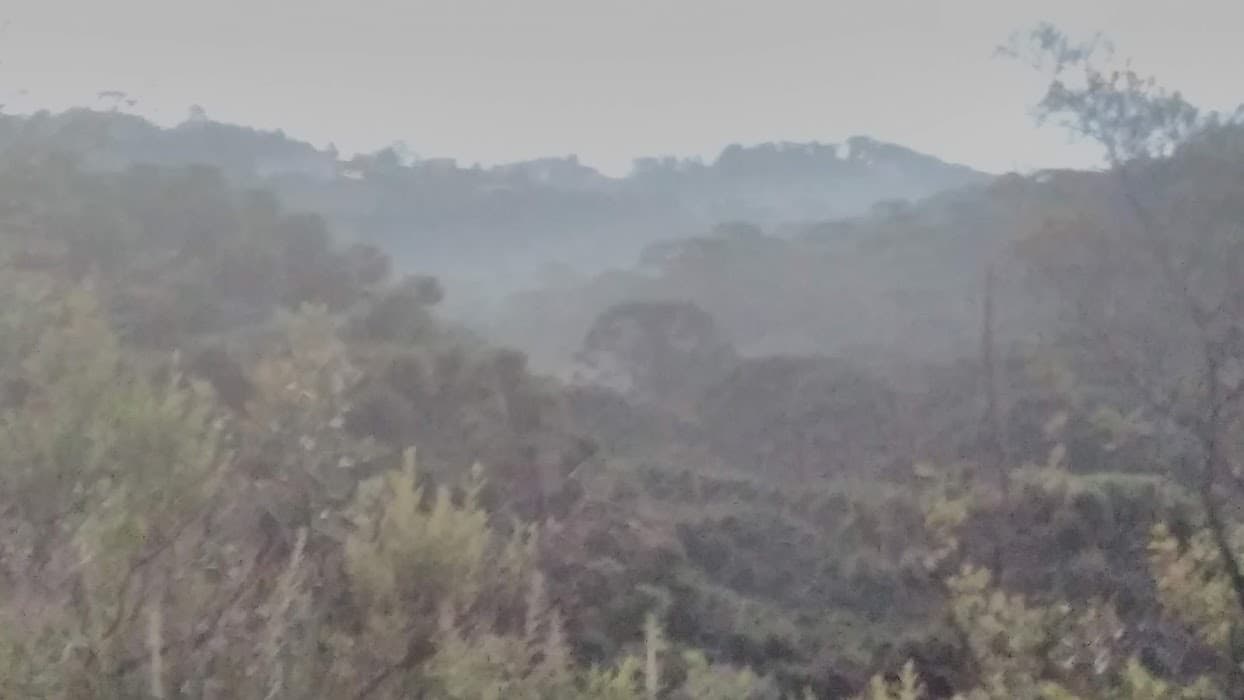 Descubra atividades e experiências únicas no Apa Campos do Jordão