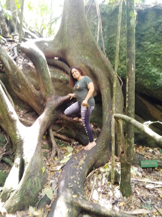 Trilha do Jequitibá Rosa