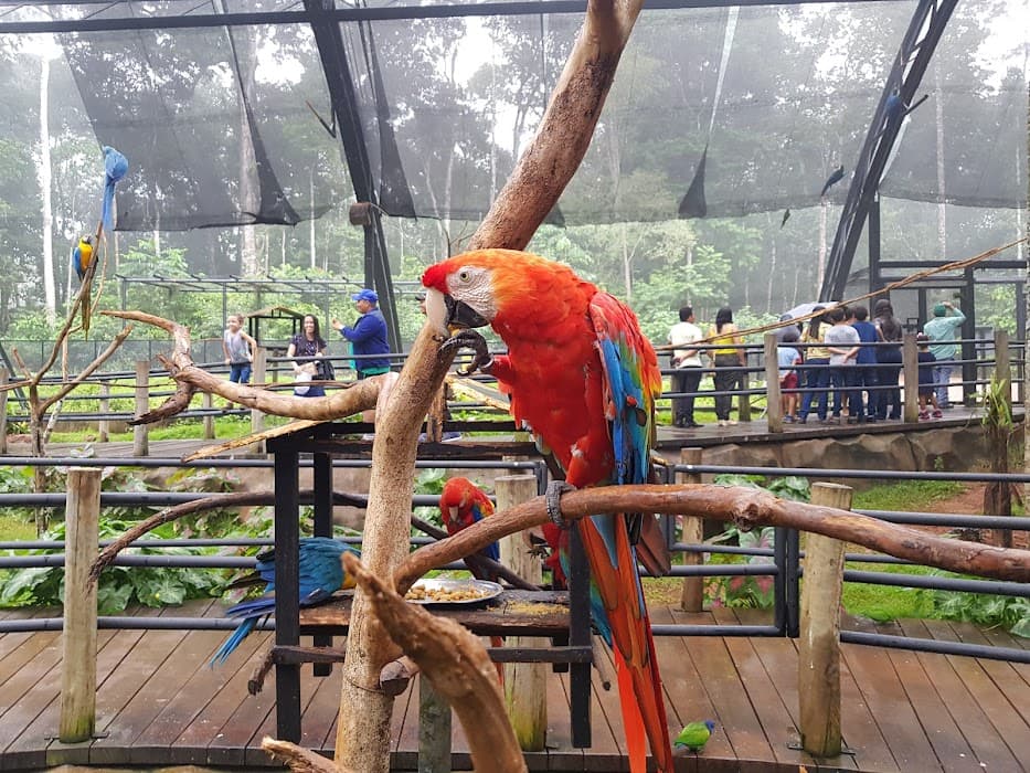 Floresta Nacional dos Carajás