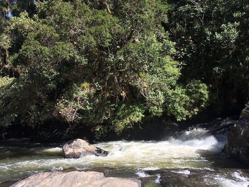 Parque Estadual Restinga de Bertioga