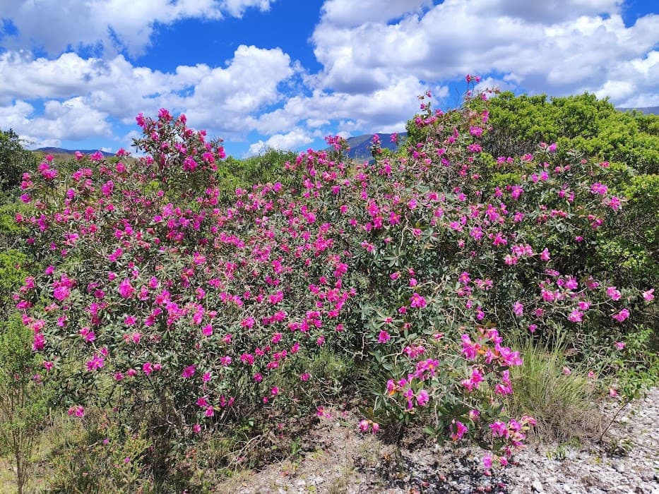 Parque Nacional da Serra do Cipó