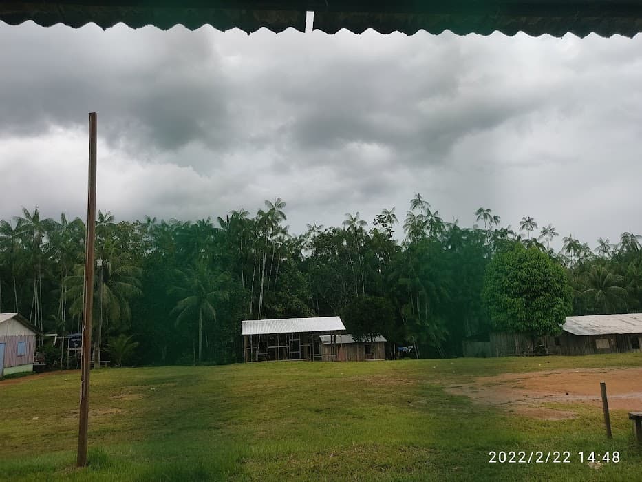 Explore a natureza selvagem do Pico da Neblina com trilhas, aventuras e vistas incríveis