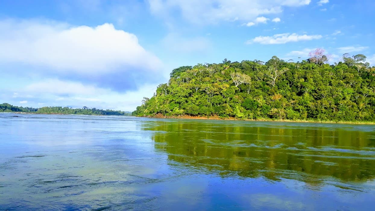 Parque Nacional da Amazônia