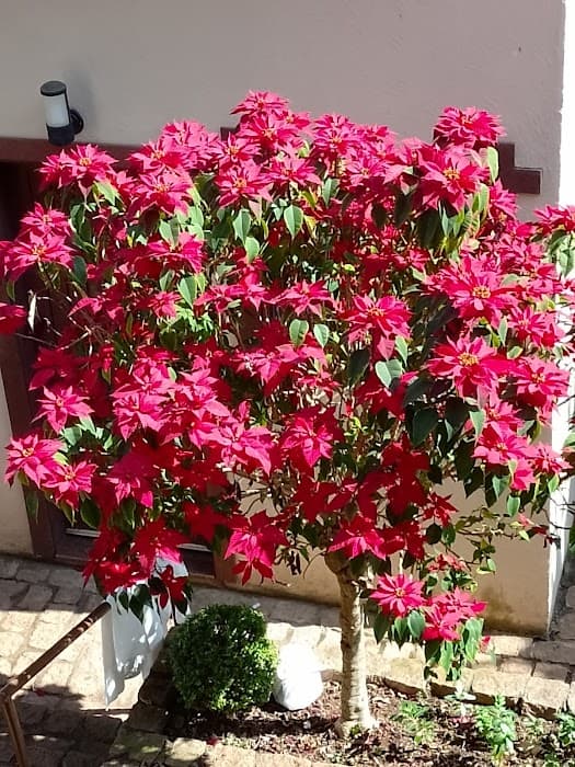 Parque Estadual Carlos Botelho