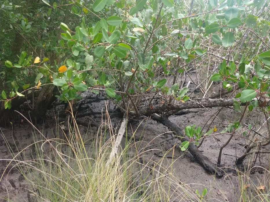 Parque Estadual do Rio Vermelho