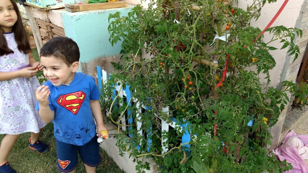 Parque Ecológico Municipal Bosque Das Araucárias