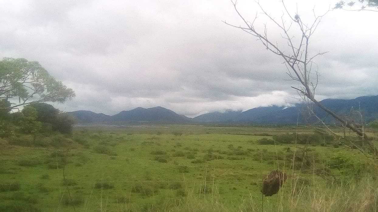 Descubra a APA das Serras do Mato Grosso Tingui Castelhañas e viva a natureza