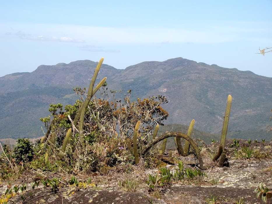 Parque Estadual Serra Negra da Mantiqueira