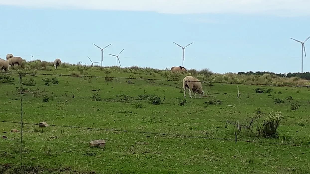 Refúgio de Vida Silvestre dos Campos de Palmas