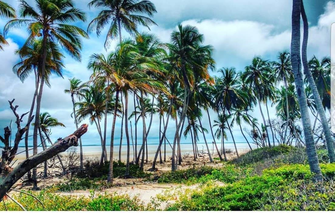 Descubra o Parque Estadual Marinho do Parcel de Manuel Luís e explore suas belezas subaquáticas