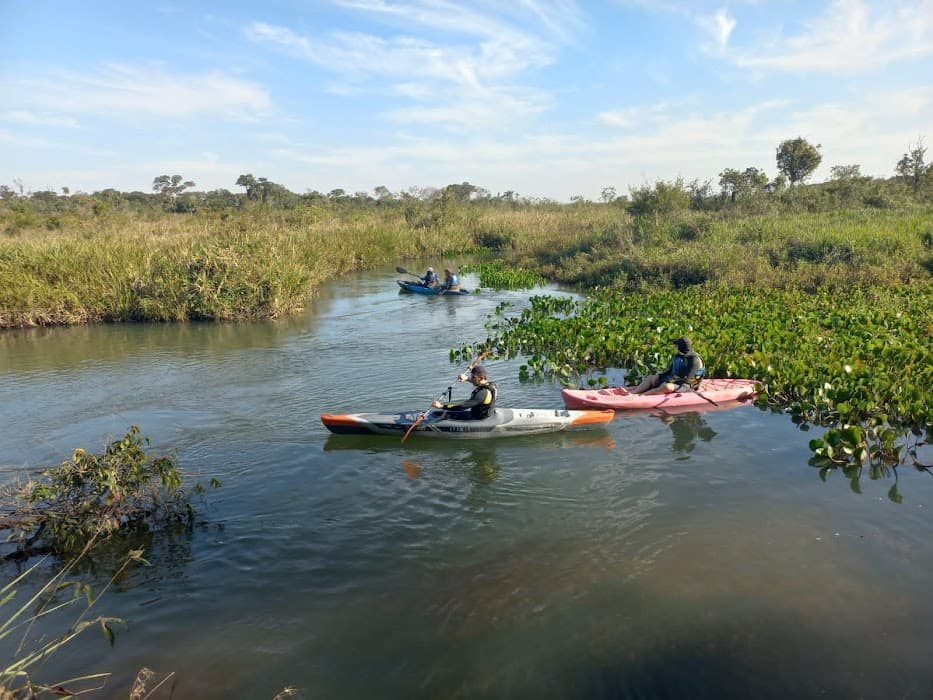 Parque Estadual das Várzeas do Rio Ivinhema