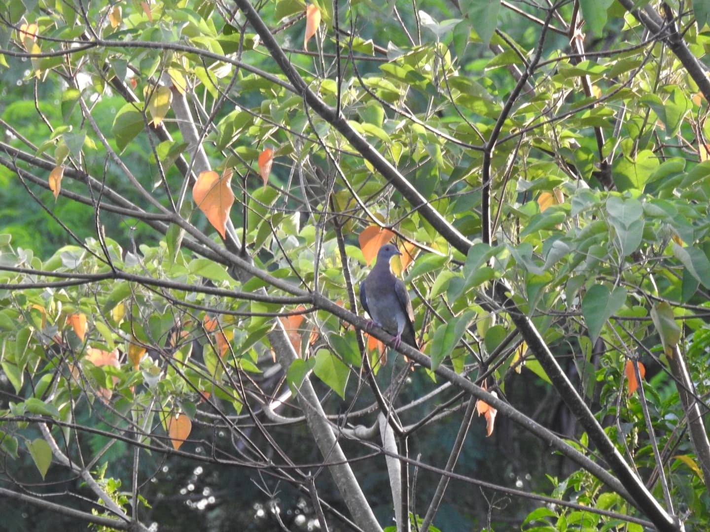 Descubra o Parque Natural Municipal do Paragem e viva experiências na natureza