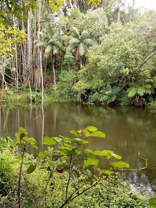 Descubra o Parque Varginha e aproveite trilhas, lago, mirantes e contato com a natureza