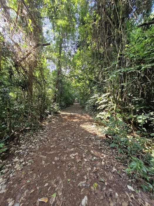 Parque Estadual de Ibiporã