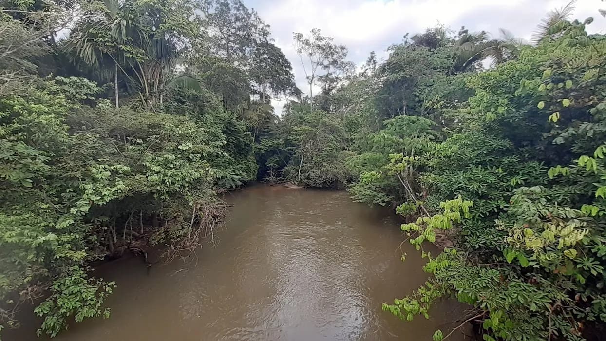 Descubra a natureza exuberante e as aventuras no Parque Estadual de Guajará-Mirim