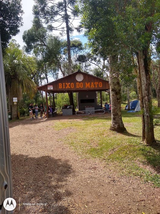 Bixo do Mato